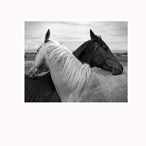 Fototapete Selbstklebend Pferd 175x210cm Wandgemälde Wand Dekoration Schlafzimmer Tapete