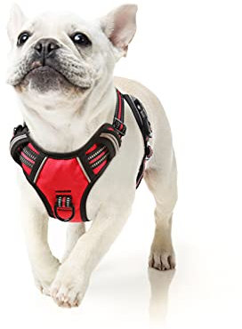 HEELE Hundegeschirr, Zugentlastung, reflektierend, mit gepolstertem Griff, Kontrolle, 2 Metallringe, Geschirr für kleine mittelgroße und große Hunde, Rot, S