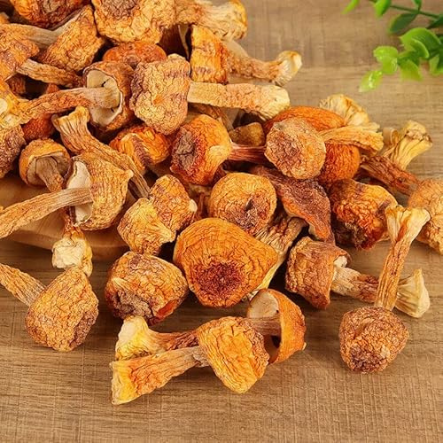 JiSongRong ecológico seco chino de champiñones brasileños de 100g para cocinar sopa
