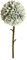 Generisch Unechte Blumen Unechte Löwenzahn Künstliche Innen Grün Künstliche Multicolor Dekoration Home Plant Garden Plastikblumen Hochzeit Künstliche Blumen für Hochzeit Partei Tischaufsätze