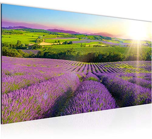 Runa Art Wandbild Provance Landschaft 1 Teilig 100 x 40 cm Modern Bild auf Vlies Leinwand Lavendel Natur Schlafzimmer Wohnzimmer Lila 610712b