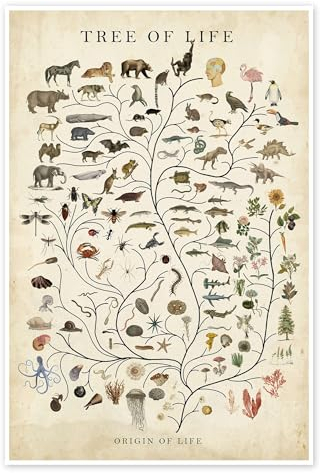 Baum des Lebens (englisch) Poster von Studio W 20 x 30 cm Beige Wandbilder Wanddeko