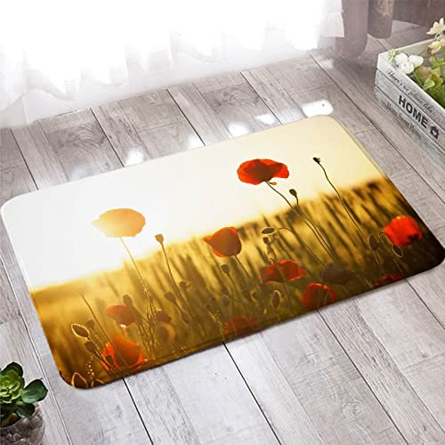 Teppich Läufer, Abtreter Fußmatte Außen 60X90cm Rot Weiss Sonne und Blume für Badezimmer Küche