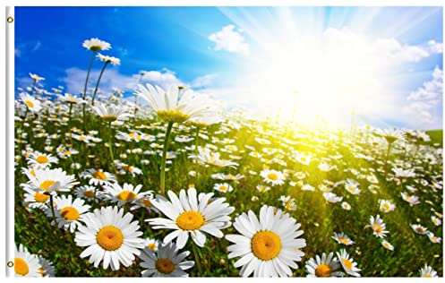 Fahnen Daisy Wiese Feld Weiße Blumen Gänseblümchen Frühling Sommer Mit Metall-Ösen Gartenflagge Robuste Flaggen Für Dekoration Draußen Feiern 90X150cm