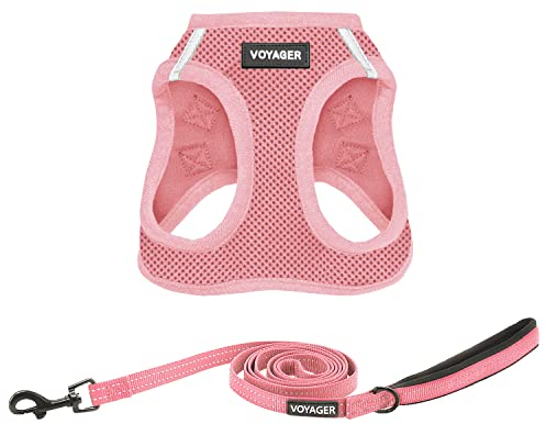 Voyager Step-in-Air Allwetter-Netzgeschirr und reflektierende Hunde-Leine, Kombination mit Neoprengriff, für kleine, mittelgroße und große Welpen, von Best Pet Supplies – Leinengeschirr, Rosa, XXXS