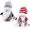 D-FantiX 2 Stück Schlitten Weihnachtszwerge Plüsch mit Holzskiern und Skistöcken, handgefertigte schwedische Tomte Santa skandinavische Figur Nordic Doll GNOME Ornamente Weihnachtsdekorationen