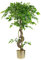 Leaf Internal_UK_high, Twisted Gold, 120cm (4ft)