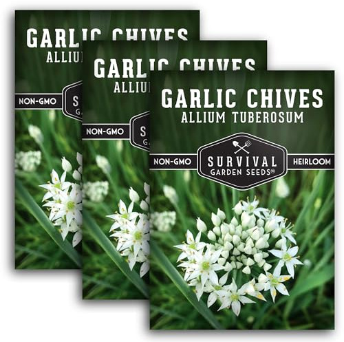 Survival Garden Seeds 3 Packs Garlic Chives Seed for Planting - Packet with Instructions to Grow Delicious Perennial Herbs in Your Home Vegetable Garden - Non-GMO Heirloom
