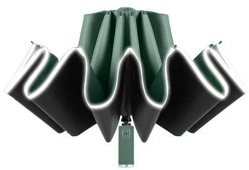 Auto-Klappschirm für VW Phaeton, Faltbarer Leichter Winddichter Regenfester und UV-beständiger Tragbarer Autoschirm,GreenB