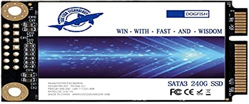 Dogfish SSD Msata 240Go Interne d'un Disque à l'état Solide De Bureau Portable De Haute Performance De Lecteur De Disque Dur (240Go)