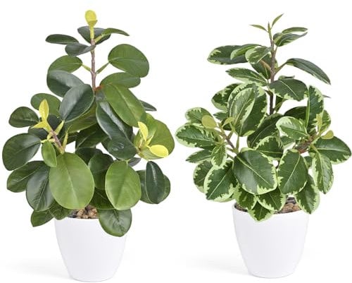 HOFMEFY Juego de 2 plantas artificiales en maceta, hojas sintéticas de plástico, para interiores, hogar, oficina, balcón, dormitorio, baño, decoración de habitación