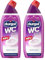 durgol WC Reiniger Intensive Purple mit frischem Duft - Reinigt, schützt und pflegt die Toilette - Toilettenreiniger Urinstein & Kalk - Klo-Reiniger flüssig - Urinsteinentferner & Kalkentferner 750ml