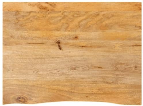 Qnhdfrt 80x60 cm Solid Mango Wood Tabletop with Live Edge