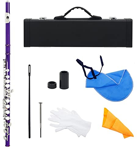 DZDZDZ querflöte Instrument Lila 16 Löcher Flute C Ton Geschlossene Loch Silber Key Cupronickel Flöte Holzwind Instrument Mit Flute Case Putzen Tuch Einsteigerflöte