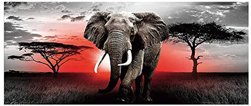 DCIDBEI 110 x 50 cm 5D Runde Diamond Painting Großes Format Landschaft Afrika Malen nach Zahlen Tier Anime, Kreuzstich Diamant Kunst Handwerk Haus Eingang Wanddekoration Afrikanischer Elefant