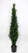 Zeder/Konifere Natura 150cm LA künstliche Pflanzen Kunstpflanzen Kunstbaum Thuja Zypresse