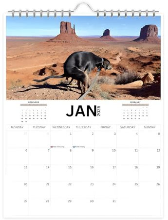 29.7x21 Cm Hundekot-Kalender, Kackende Hunde Kalender 2025 - Wandkalender Zum Hundekacken, 12 Monat Lustiger Haustier Kalender 2025,Kalender Mit Lustigen Kackenden Tieren Und Hunden Für Zuhause,Schule