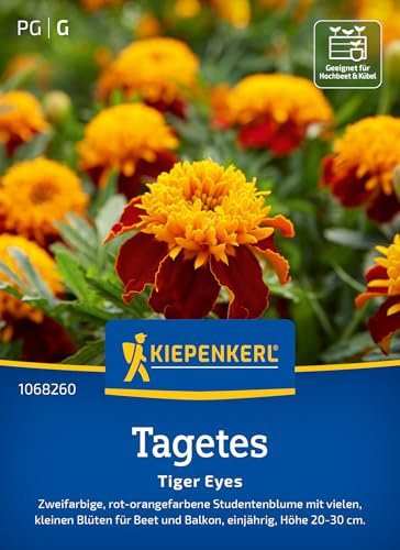 Kiepenkerl Tagetessamen Tiger Eyes 1068260 - zweifarbige, rot- orangefarbene Studentenblume mit vielen kleinen Blüten - Pflanzen, Blumensamen, Saatgut