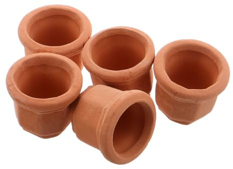 Yardenfun 5 Pièces Lot de Mini Pots Terre Cuite Style Rétro pour Plantes Bureau Petites Fleurs Boutures