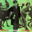 Searching For The Young Soul Rebels