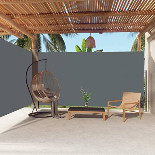 PRISSENT Brise Vue Retractable 200x(0-600) cm Store Lateral Exterieur Retractable Brise Vue Terrasse Exterieur Store Banne Store Balcon Anthracite