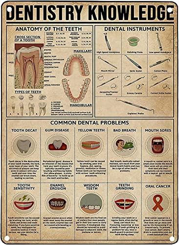 Zahnmedizinisches Wissen, Metall-Blechschild, Anatomie der Zähne, Retro-Poster, Wanddekoration für Schule, Café, Bar, Schlafzimmer, Badezimmer, Küche, Heimdekoration, 20,3 x 30,5 cm