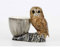 Quail Ceramics – Waldkauz mit Eierbecher