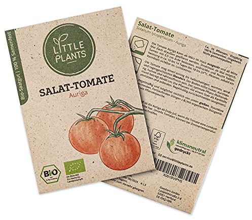 Little Plants BIO Tomatensamen Auriga, 15 Tomaten Samen, hohe Keimrate, 100% Natürlich, BIO Saatgut Salattomate Samen für Gemüsegarten Tomaten Hochbeet – BIO Tomate Samen Nachhaltig