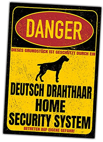 Deutsch Drahthaar DD Dog Schild Danger Security System Türschild Hundeschild Warnschild Sicherheitsschild Hund Privatgrundstück Hundewarnung Warnung vor dem Hund