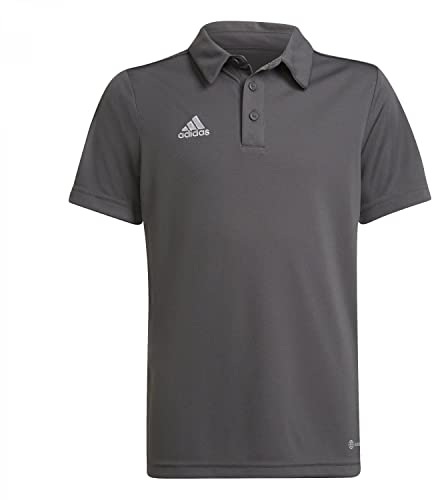 adidas Unisex Kinder Entrada 22 Polo Shirt, Team Grey Four, 15-16 Years
