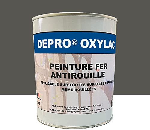 OXYLAC Peinture antirouille pour métal neuf et rouillé - 1KG (GRIS CLAIR)