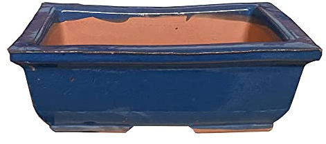 KORMAX Maceta Bonsai Ceramica Azul n2 22x15 cm