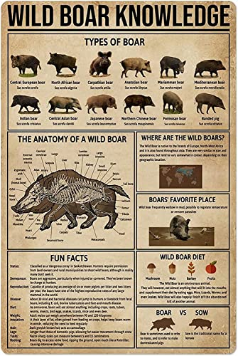 FJQWKLF Wildschwein Wissen Metall Zinn Zeichen Anatomie Vintage Poster Jagd Bauernhof Tier Schule Club Garage Wand Dekoration Retro Plaque 12x16 Zoll