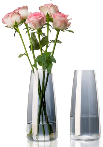 YBCPACK Blumenvase Glas 22cm Hoch – Halbtransparentes Grau Moderne Vase für Tulpen/Rosen, Büro & Wohnzimmer Dekor(2er Set)