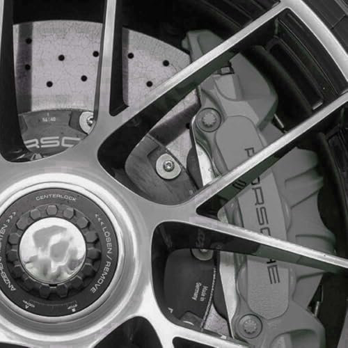 Brake Caliper Scratch Repair Paint – Easy-to-Apply, Heat-Resistant Solution for Caliper Restoration and Scratch Removal (1, Grey)