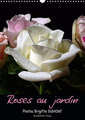 Roses au jardin (Calendrier mural 2021 DIN A3 vertical): Promenade sous les rosiers au soleil du midi (Organiseur, 14 Pages )