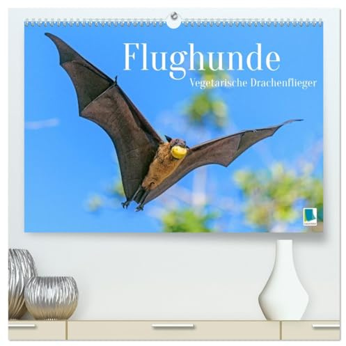 Flughunde: Vegetarische Drachenflieger (hochwertiger Premium Wandkalender 2026 DIN A2 quer), Kunstdruck in Hochglanz: Vegetarier, nicht Vampir: nur ... und Nektar jagt der Flughund (CALVENDO Tiere)