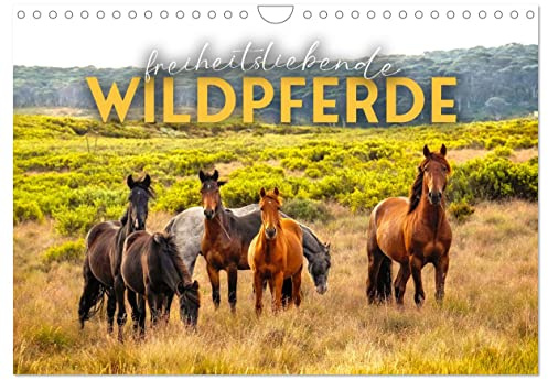 Freiheitsliebende Wildpferde (Wandkalender 2026 DIN A4 quer), CALVENDO Monatskalender: Ungezähmt und frei. (CALVENDO Tiere)