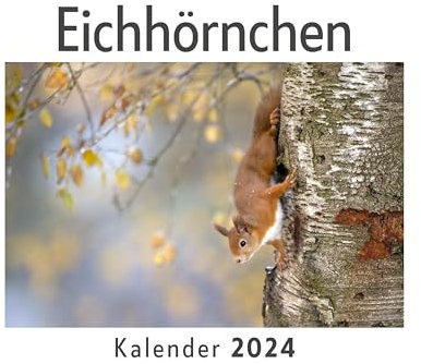 Eichhörnchen (Wandkalender 2024, Kalender DIN A4 quer, Monatskalender im Querformat mit Kalendarium, Das perfekte Geschenk)