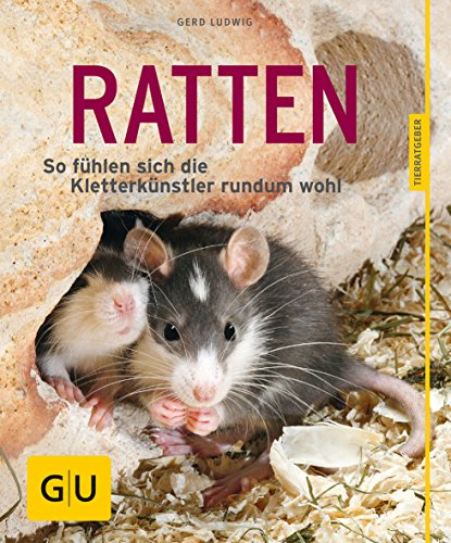 Ratten als Heimtiere, glücklich & gesund gelb 12 x 3,5 cm: So fühlen sich die Kletterkünstler rundum wohl (GU Kleintiere)