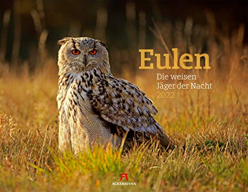 Eulen - weise Jäger der Nacht Kalender 2022, Wandkalender im Querformat (54x42 cm) - Tierkalender / Vogelkalender: Die weisen Jäger der Nacht