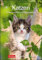 Katzen Wochenplaner. Wandkalender 2020. Wochenkalendarium. Spiralbindung. Format 25 x 35,5 cm: Wochenplaner, 53 Blatt mit Zitaten und Wochenchronik