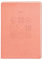 Terminplaner Lederlook 2026 Peach: Terminplaner Lederlook A6