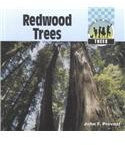 Redwood Trees