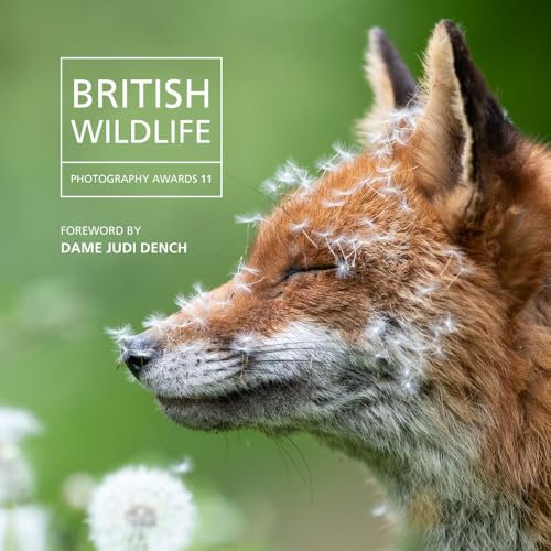 British Wildlife Photography Awards 2023: Photography Awards 11