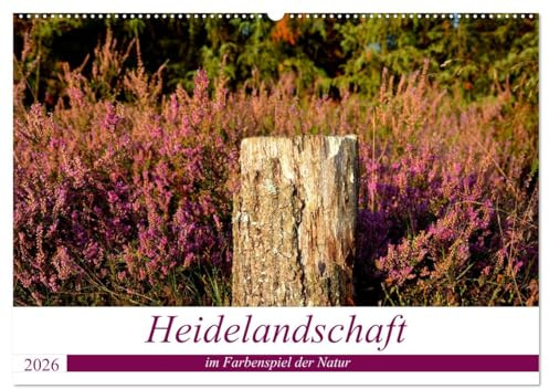 Heidelandschaft im Farbenspiel der Natur (Wandkalender 2026 DIN A2 quer), CALVENDO Monatskalender: Entdecken Sie die wunderschöne Heidelandschaft - ... stimmungsvoll fotografiert. (CALVENDO Natur)