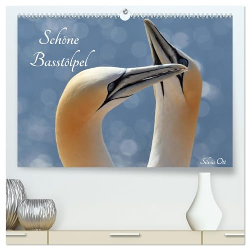 Schöne Basstölpel (hochwertiger Premium Wandkalender 2026 DIN A2 quer), Kunstdruck in Hochglanz: Wunderbare Aufnahmen des Basstölpels (CALVENDO Tiere)