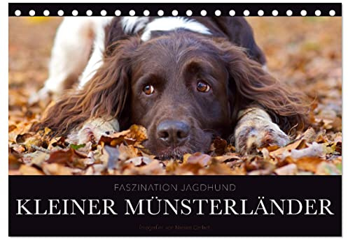 Faszination Jagdhund - Kleiner Münsterländer (Tischkalender 2026 DIN A5 quer), CALVENDO Monatskalender: Kleiner Münsterländer Vorstehhund - Ein Leben neben der Jagd (CALVENDO Tiere)