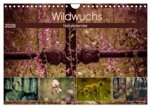 Wildwuchs 2026 (Wandkalender 2026 DIN A4 quer), CALVENDO Monatskalender: Wilde Pflanzenschönheiten begleiten durch das ganze Jahr. (CALVENDO Natur)