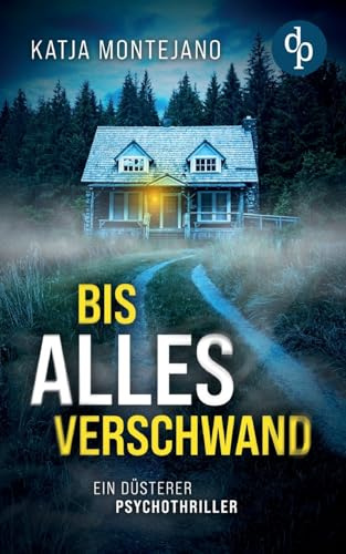 Bis alles verschwand: Ein düsterer Psychothriller
